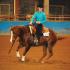 IEA Western Semi Finals